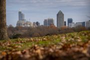 Charlotte Photographer