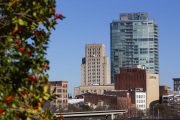 Charlotte Photographer